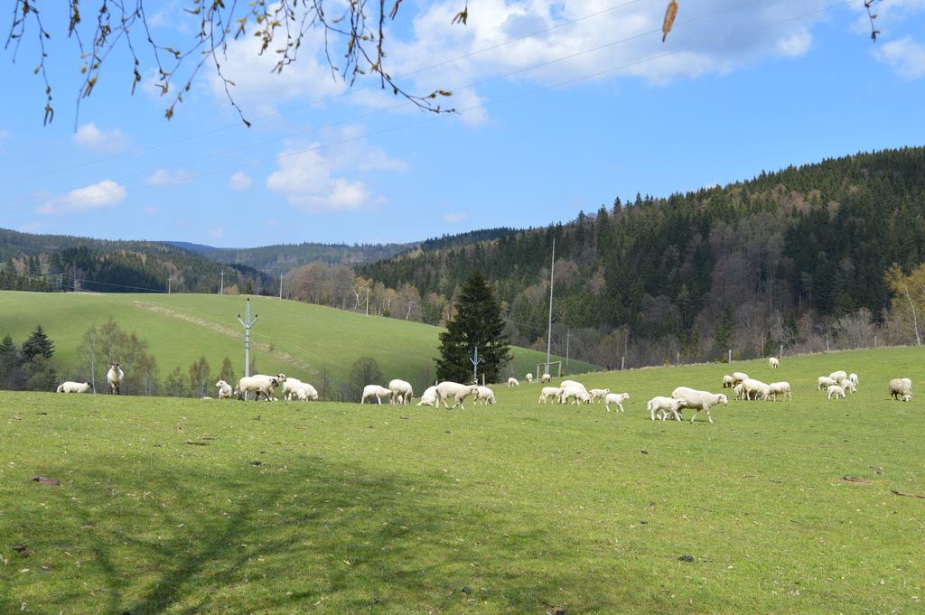 Chata Nová Seninka Staré Město Exterior foto
