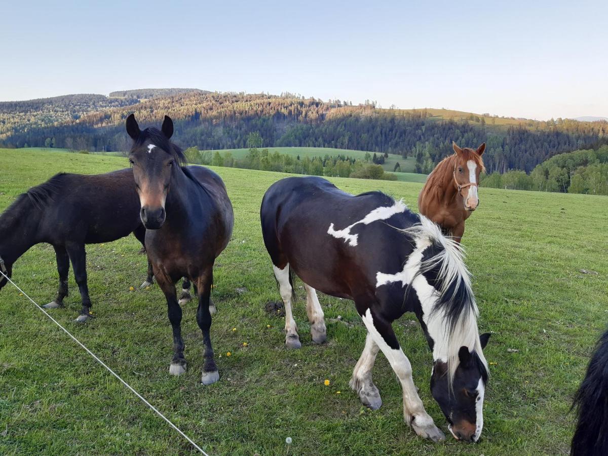 Chata Nová Seninka Staré Město Exterior foto